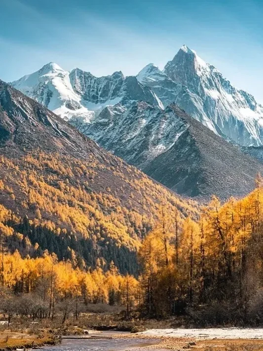 10.18📍四姑娘山现状，草已黄🍂要来的听劝……
