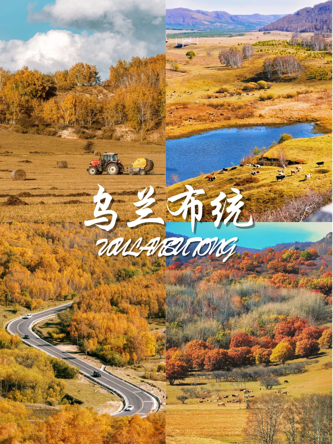 9-11月国内赏秋宝藏地推荐🍂 附观赏攻略