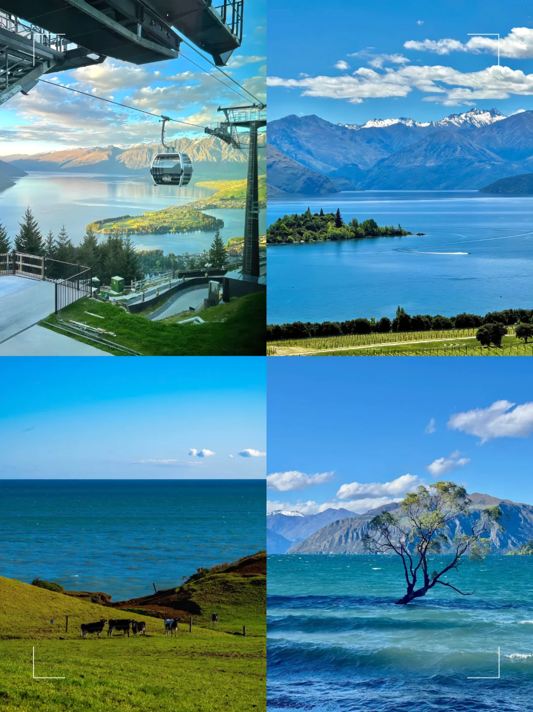 带全家旅行去了澳大利亚和新西兰…先说结论