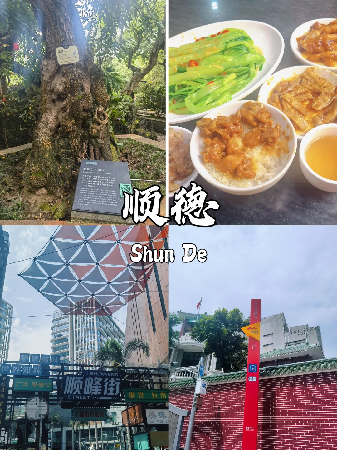 国庆游广东｜潮汕+顺德+广州citywalk攻略