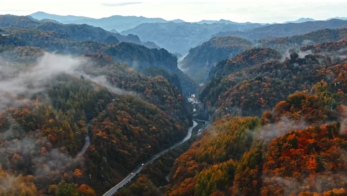 2025神农架赏秋最佳时间