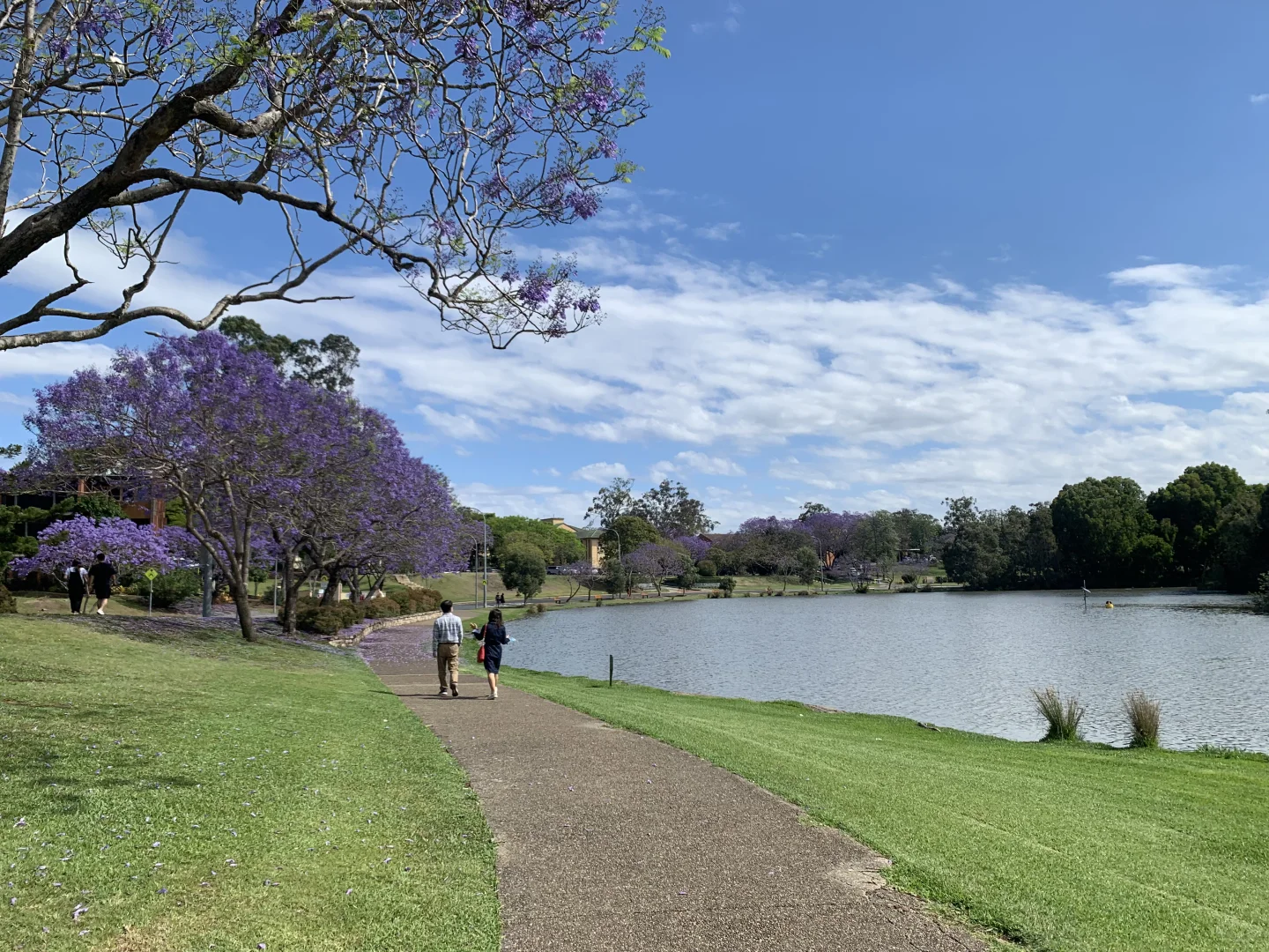 国内外旅游攻略看过来！