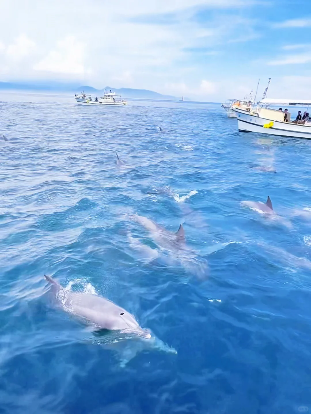将太郎推荐的三个适合旅游的日本小城市🏙️