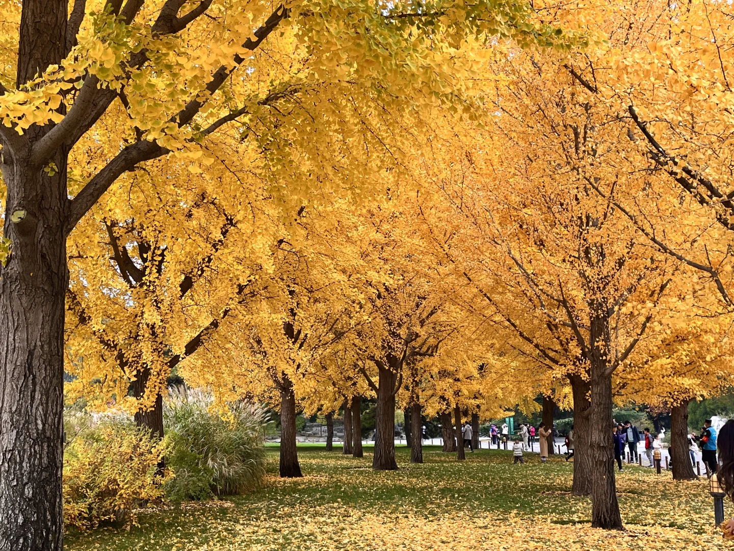 北京，我最推荐的三个公园！