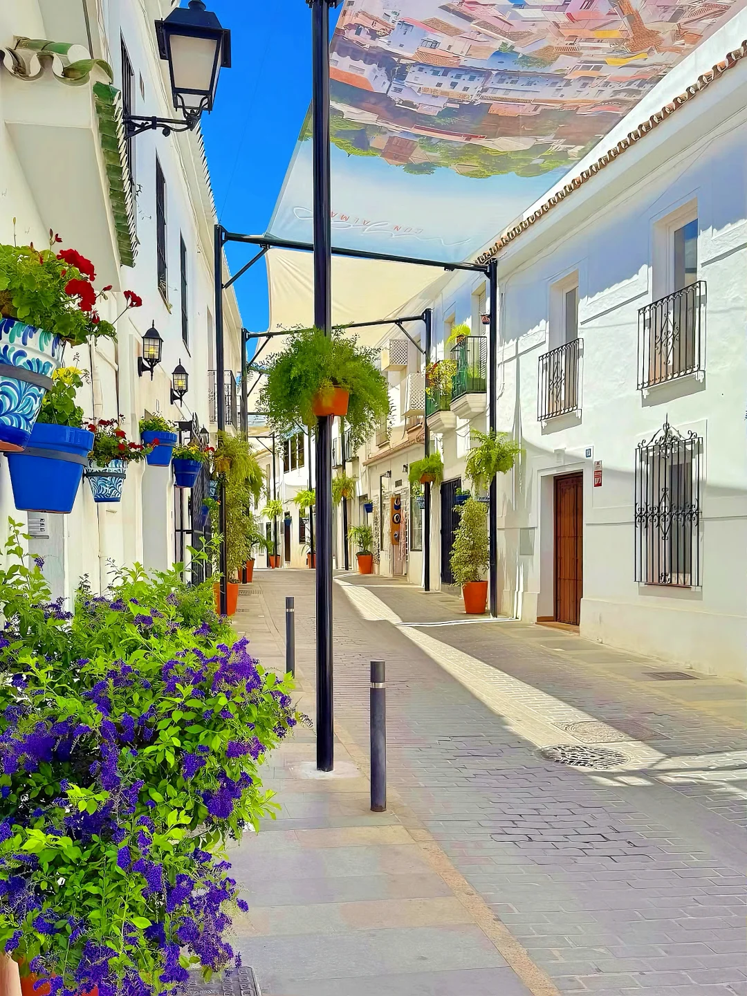 🍊这个秋冬去马拉加过橘子味的夏天！