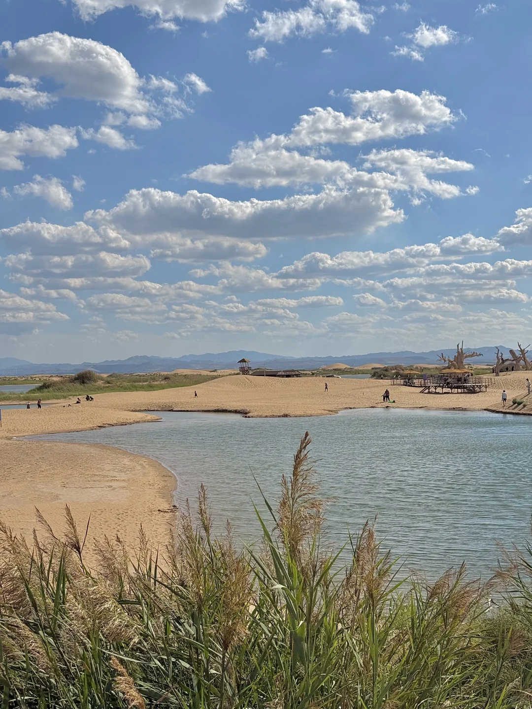国庆去这个小众城市!乌海🏜️两日游全攻略