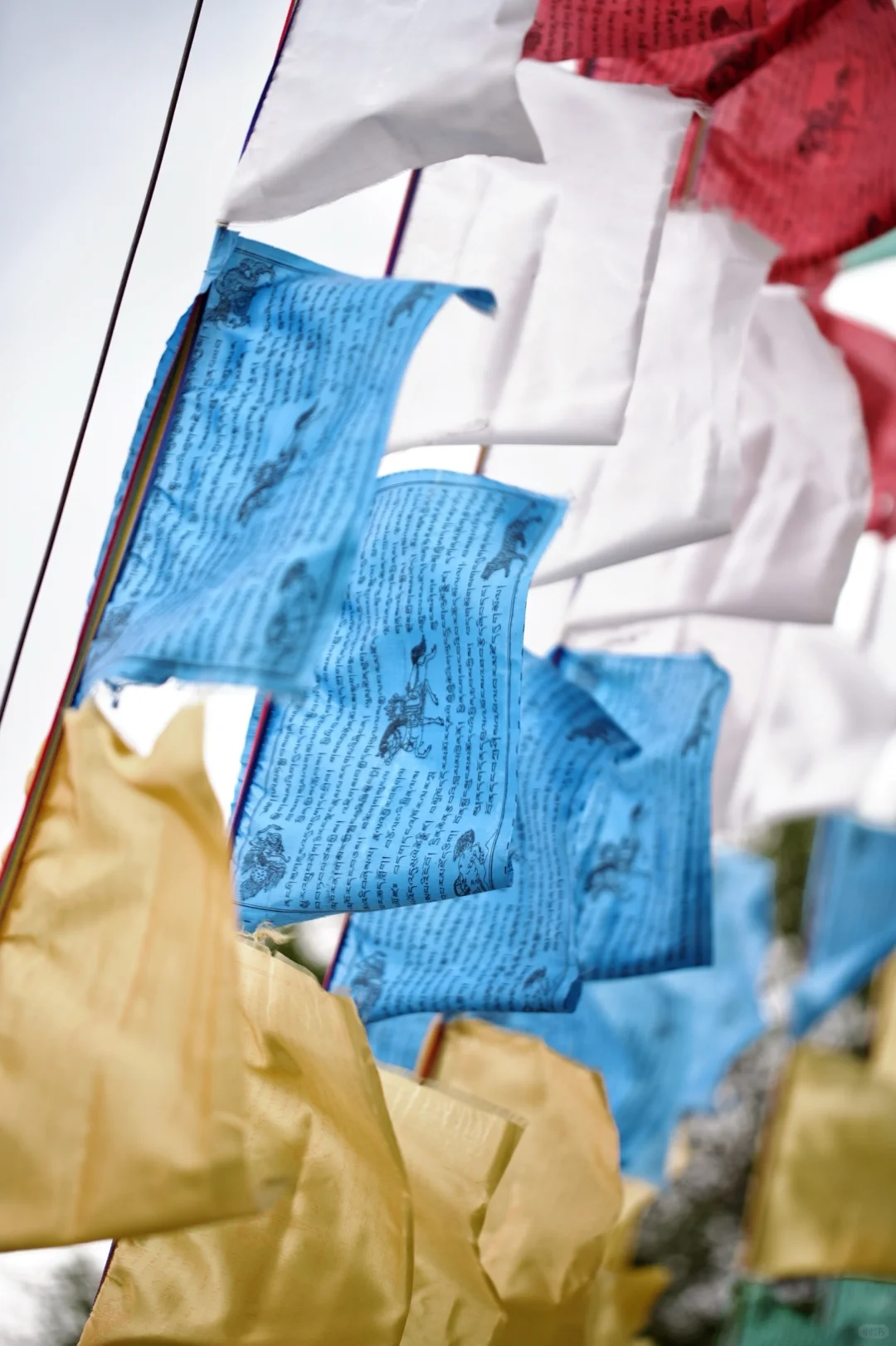 亲测90%的人都不知道的九寨沟新耍法