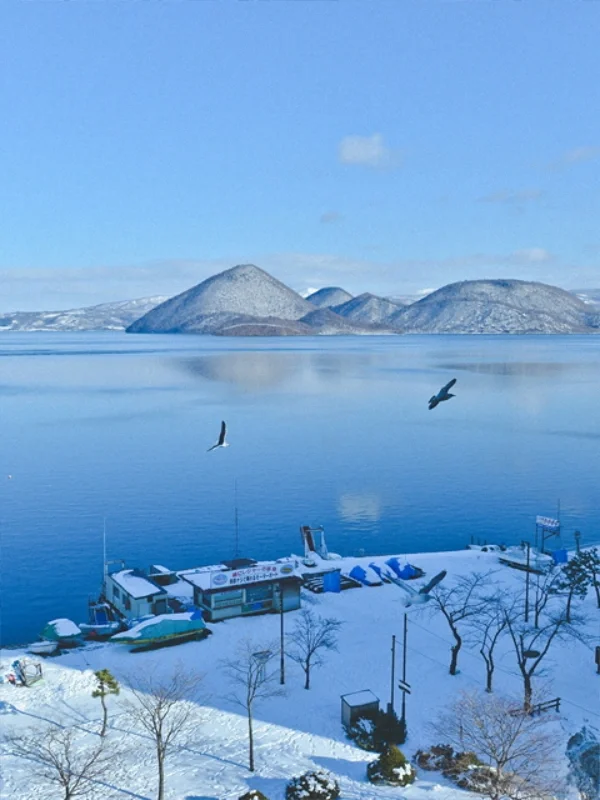 12-2月北海道❄️冬季旅游｜必打卡的9️⃣大景点