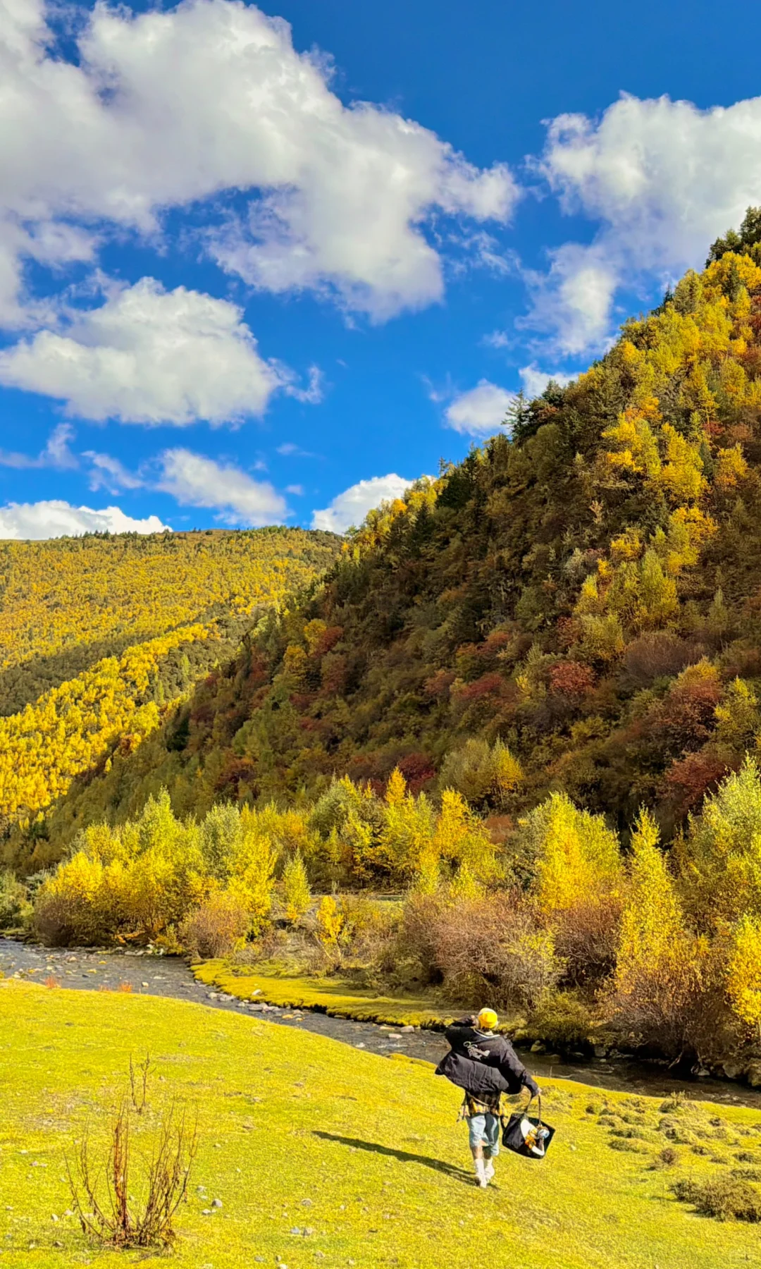 秋天川西第一天就这么美……后面该怎么办啊😭