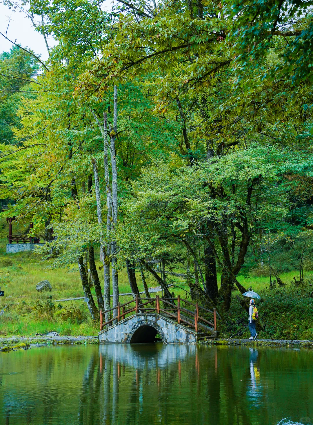 为了这18张图，我特意来了趟喇叭河！附机位