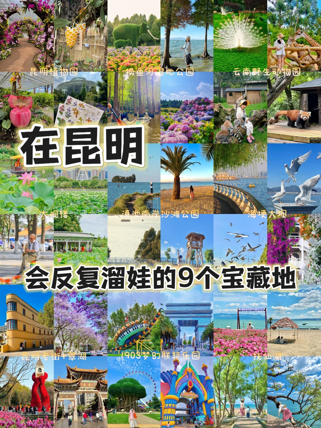 昆明9大宝藏地,会反复溜娃的9个地方✨