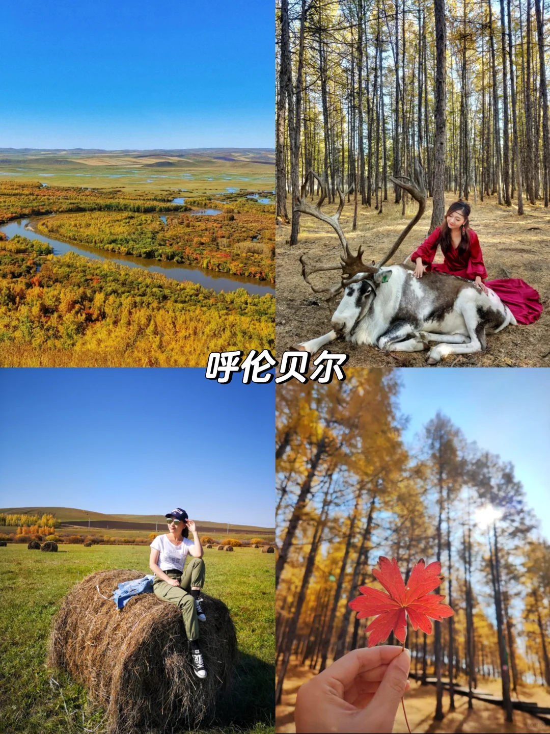 🍁推荐国内10个绝美赏秋旅行地 🍂