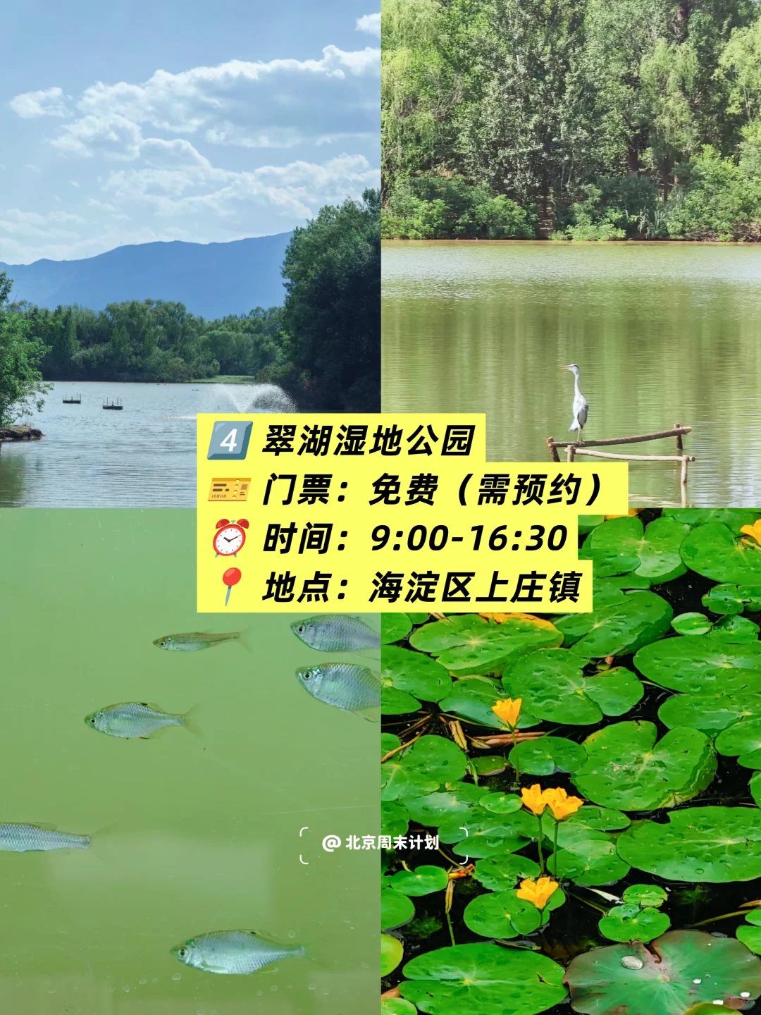 北京📍6个免费玩水公园｜北京周末去哪