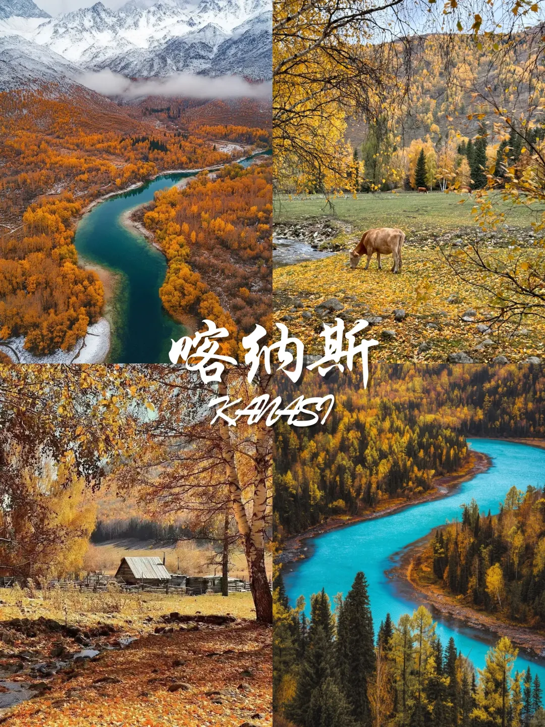 9-11月国内赏秋宝藏地推荐🍂 附观赏攻略