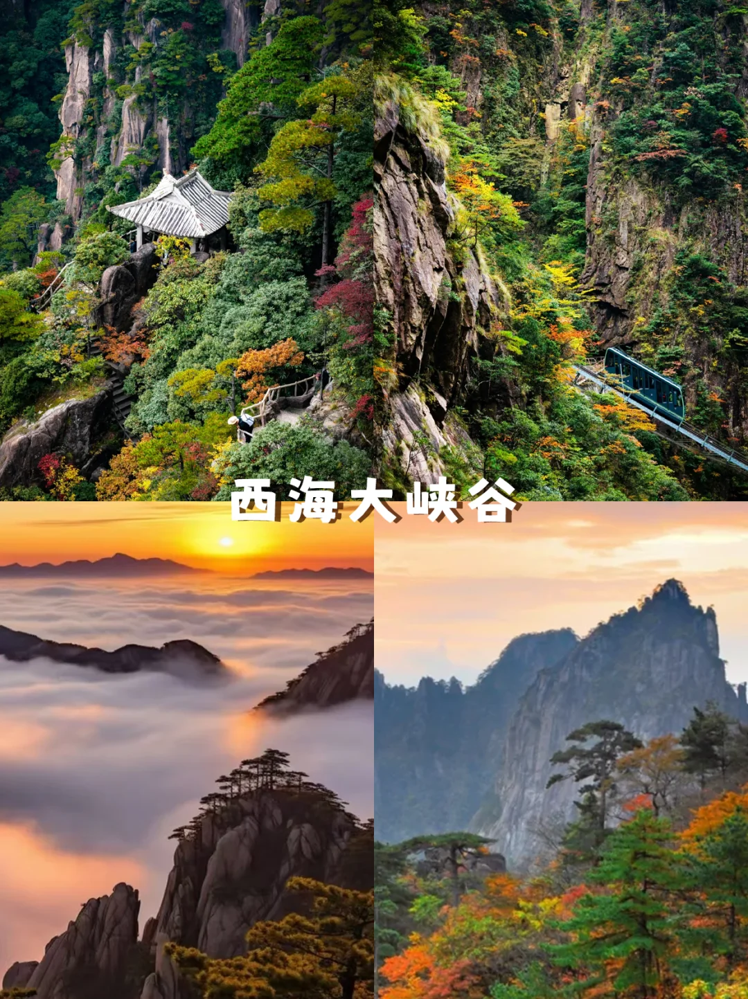 9-11月的皖南，藏着中国最美的秋天🍁