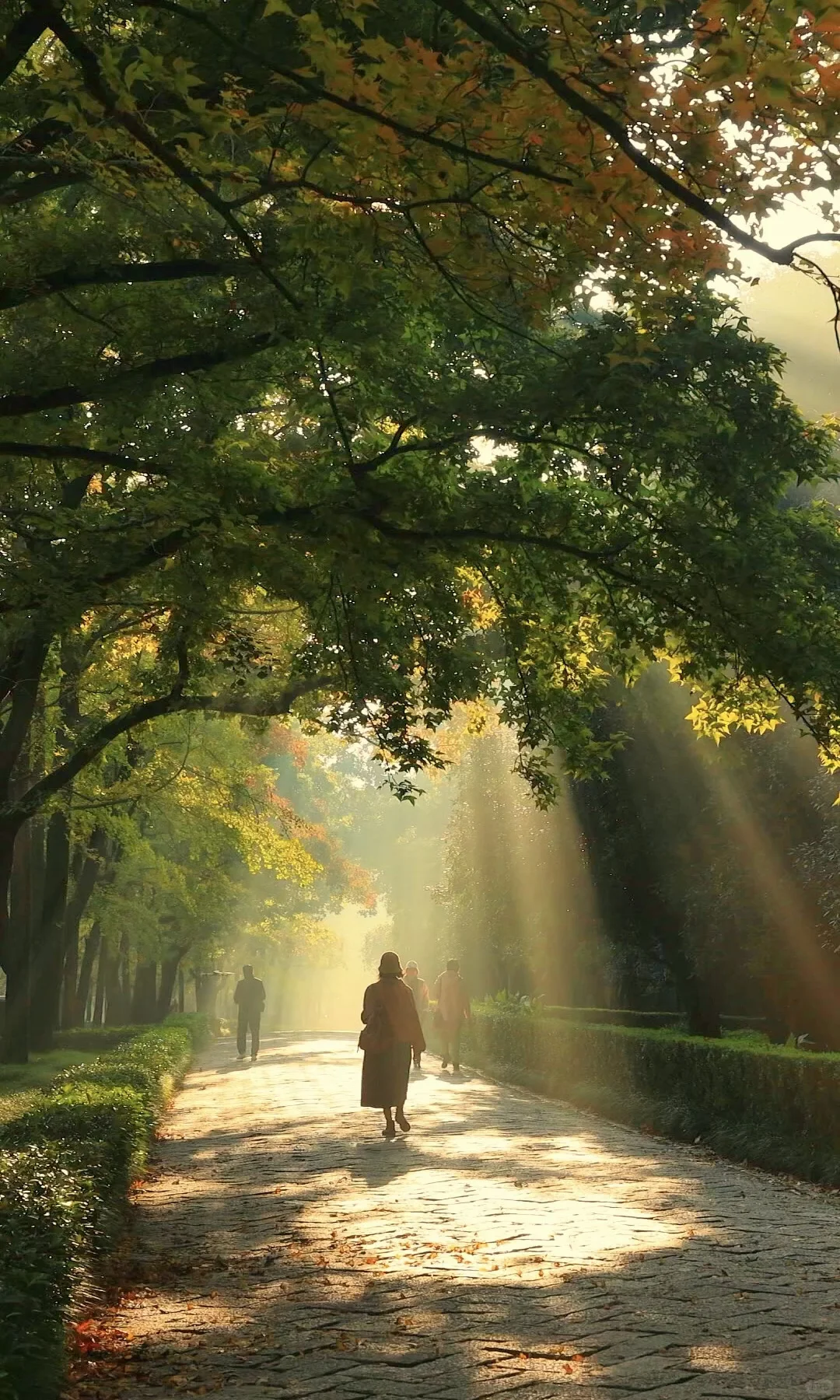 我夸南京一万遍，不及你来看一眼｜赏秋攻略❶