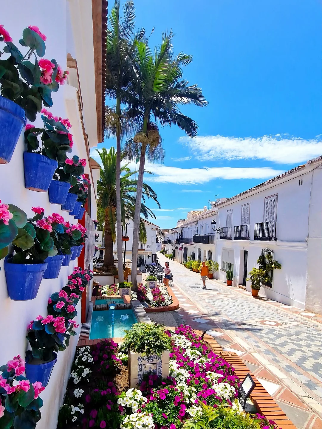 🍊这个秋冬去马拉加过橘子味的夏天！