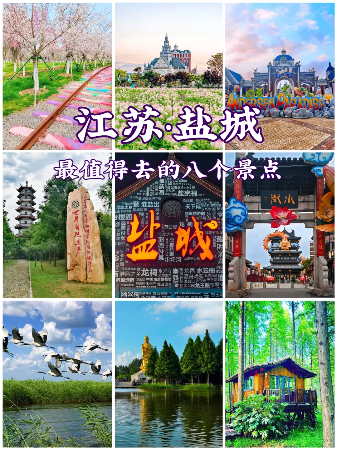 江苏盐城旅游8大景点🌺你去过几个呢❓