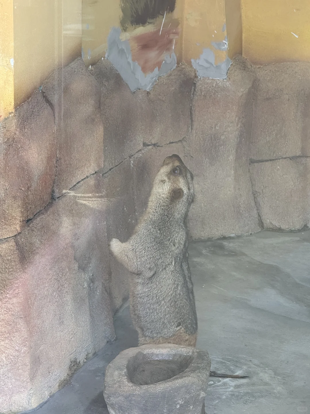 周末特种兵之大连