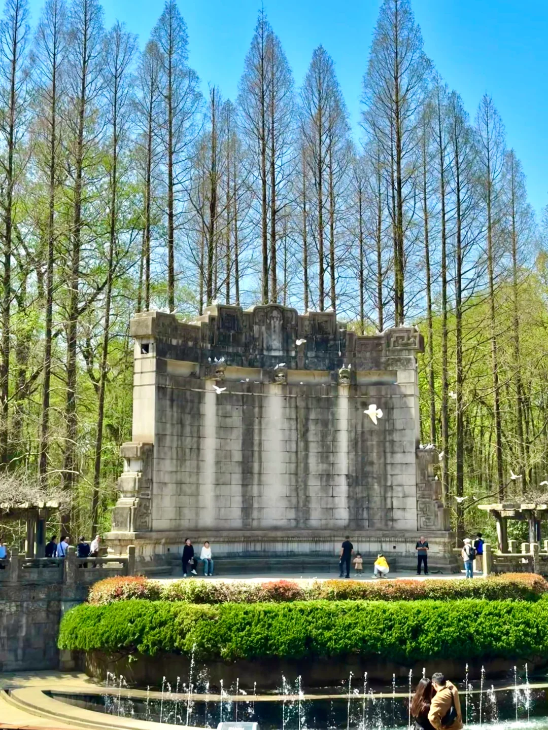 为了这1⃣️8⃣️张图，我飞了一趟南京！！！