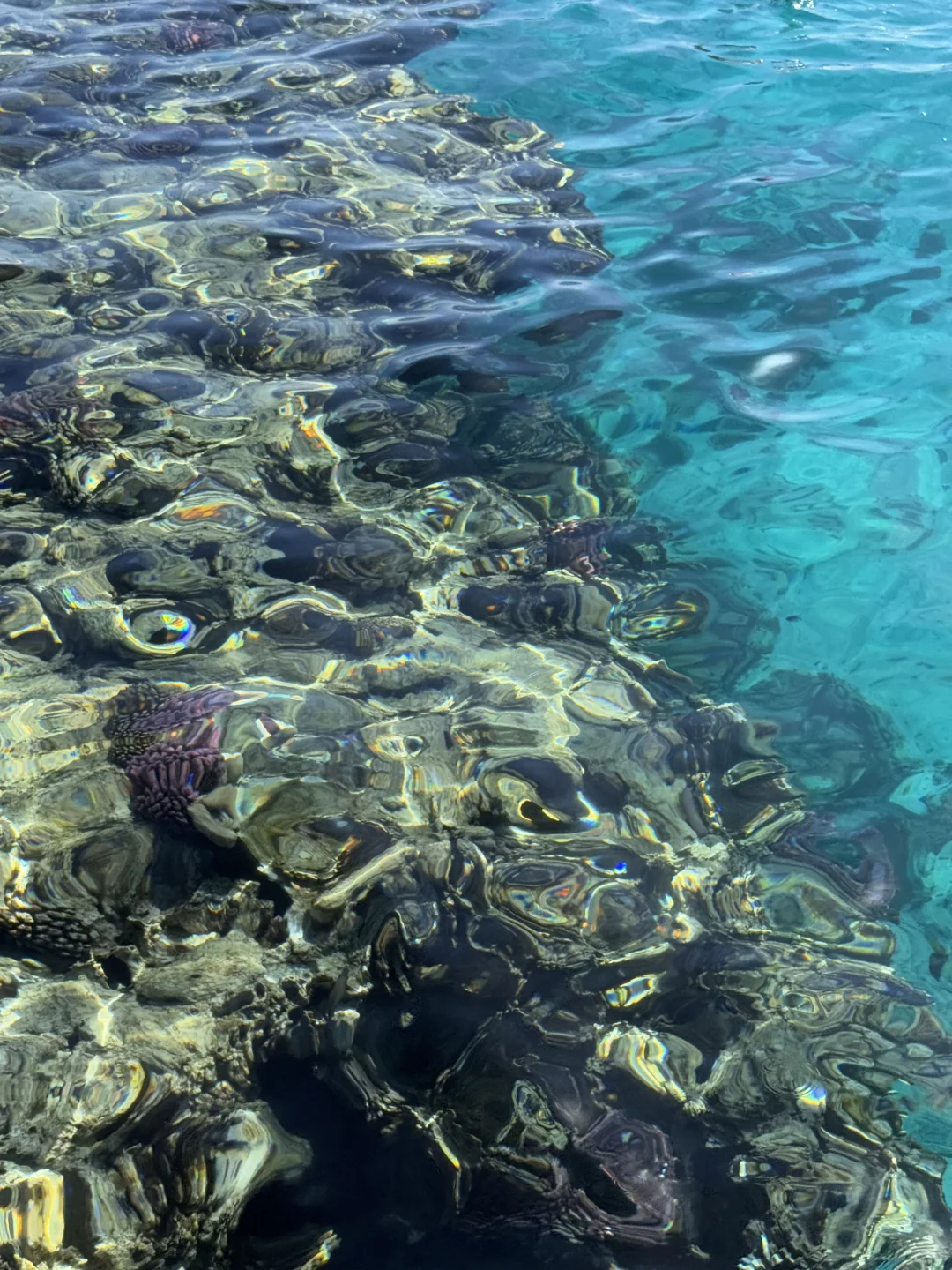 埃及🇪🇬一半沙漠🏜️一半海