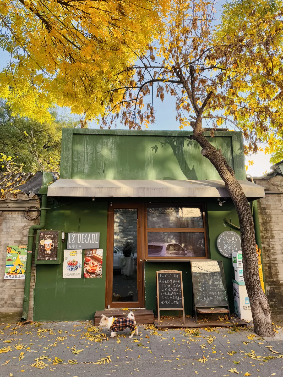 10.19实况🍂北京最新赏秋citywalk路线‼️