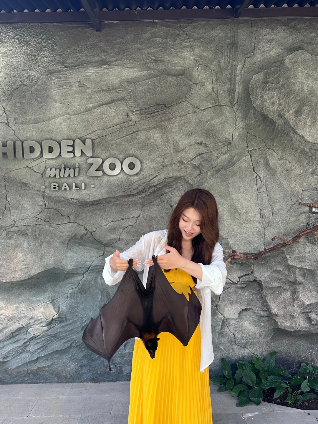 Bromo➕科莫多➕ 巴厘岛八天梦幻行程