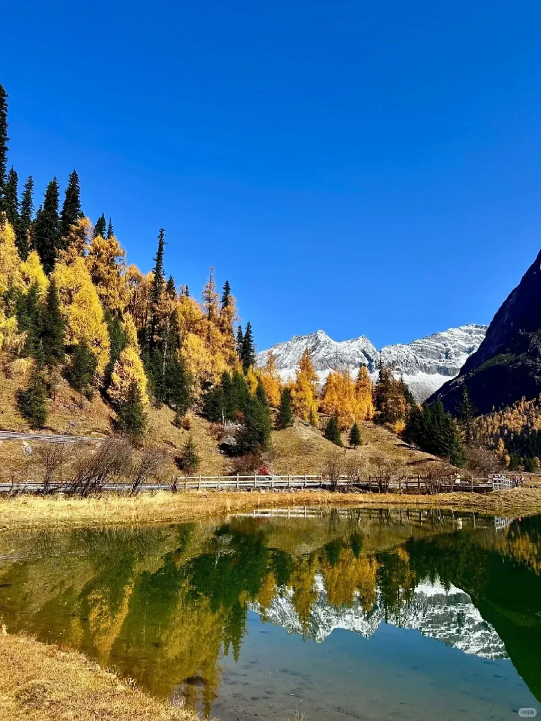 10.18📍四姑娘山现状，草已黄🍂要来的听劝……