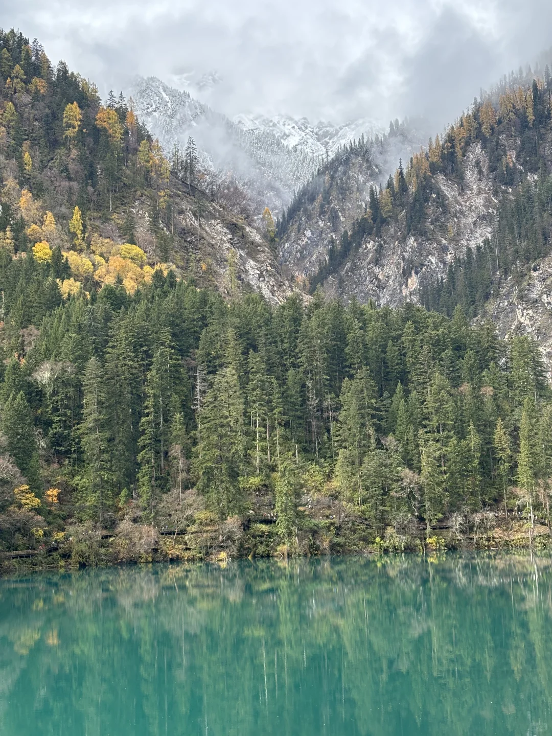 三天两夜九寨沟+黄龙旅游攻略 彩林季🍂