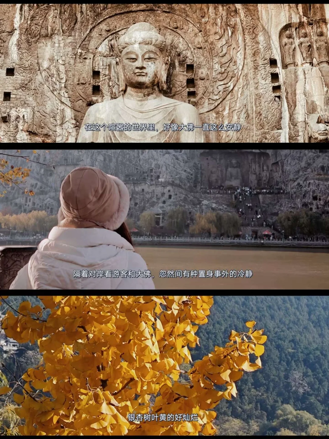 就在11🈷️被问爆的龙门石窟赏秋全攻略来啦