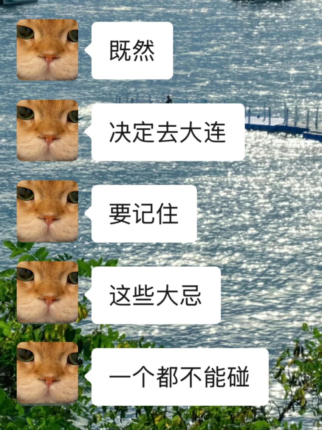 既然决定了去大连，这些事不要🙅做