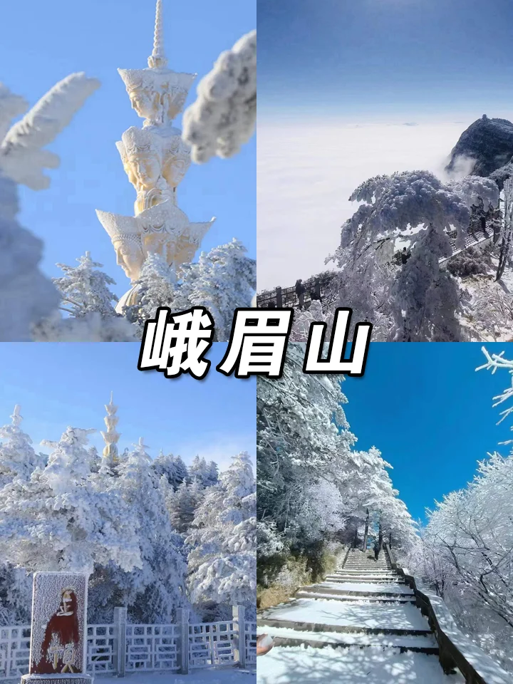 四川旅游怎么玩❓必去景点推荐🔥