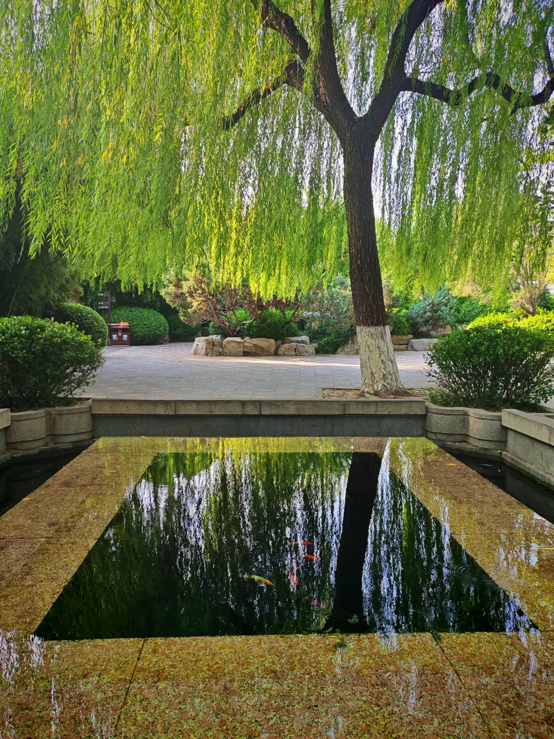 去之前不期待但后劲很大的城市｜看泉一日游