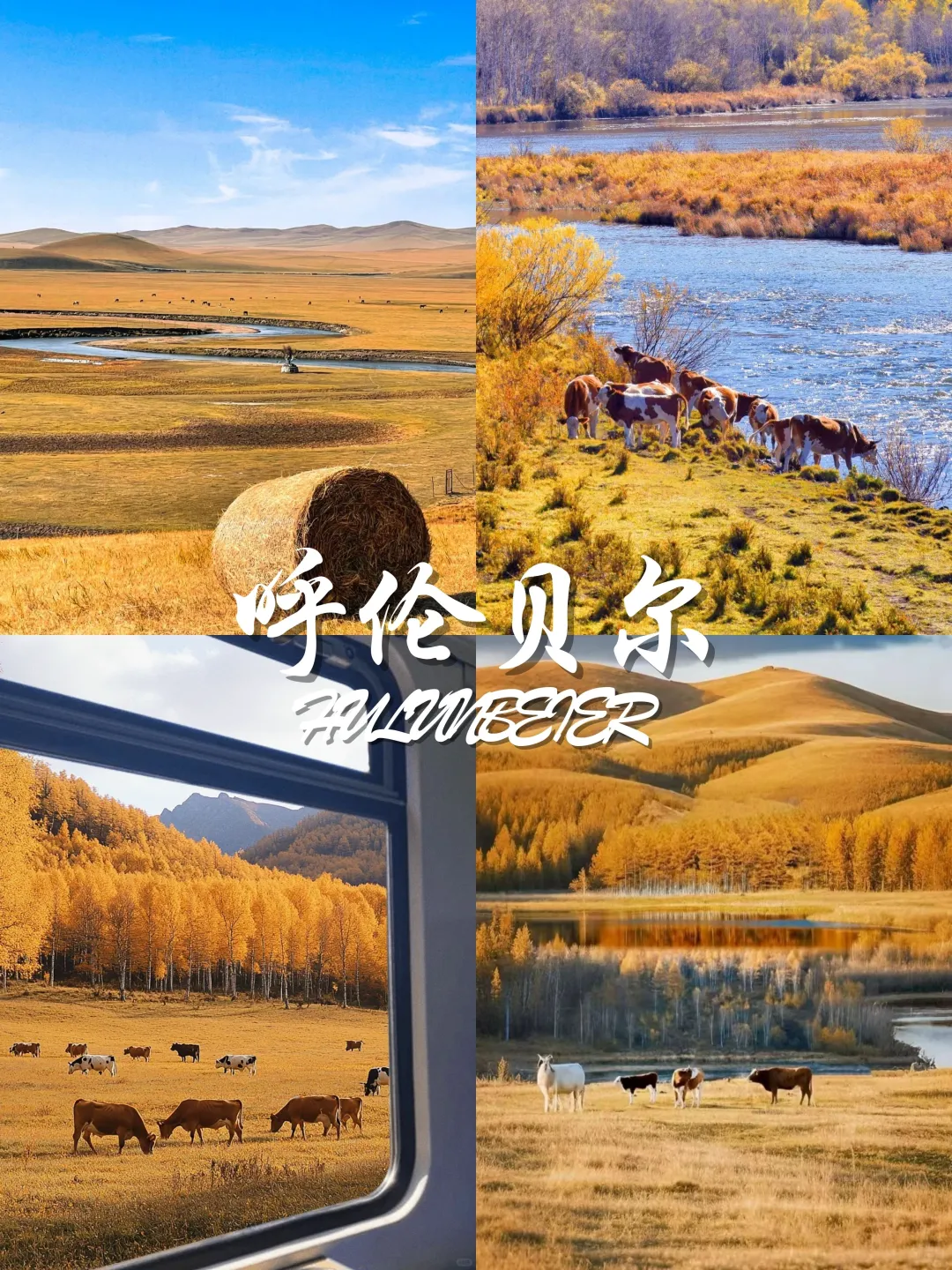 9-11月国内赏秋宝藏地推荐🍂 附观赏攻略