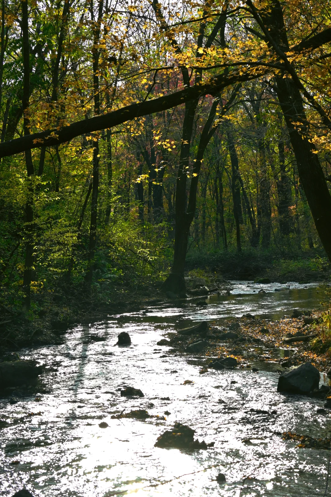 吉林通化龙湾景区游记