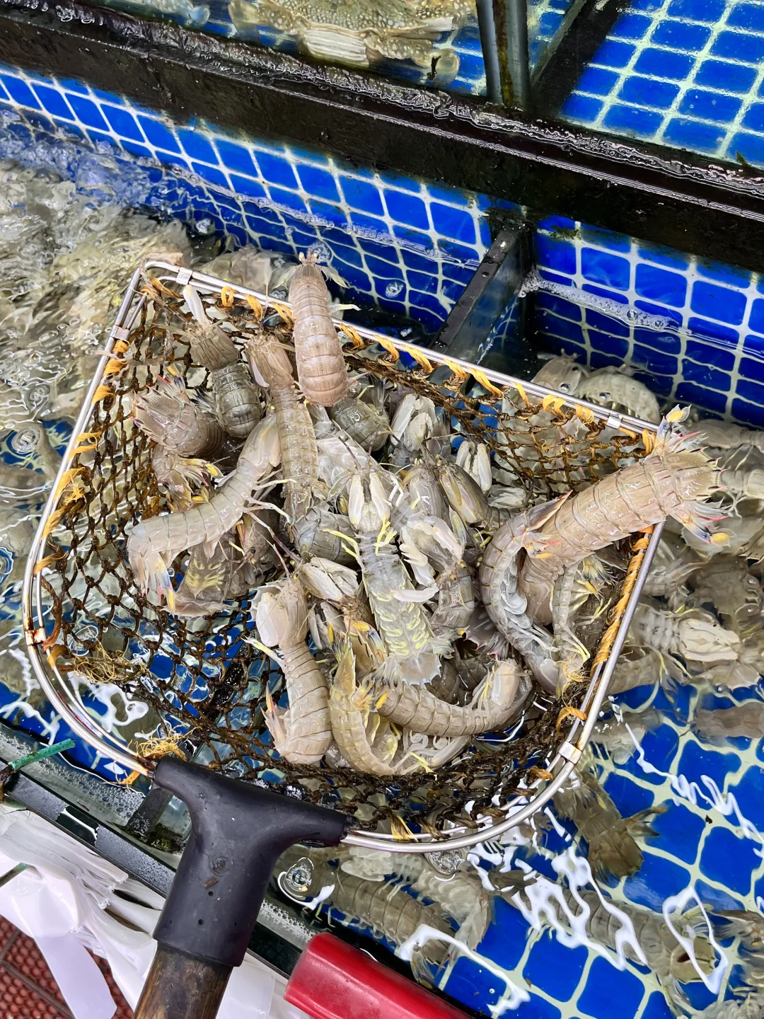 广州→双月湾保姆级旅游攻略！