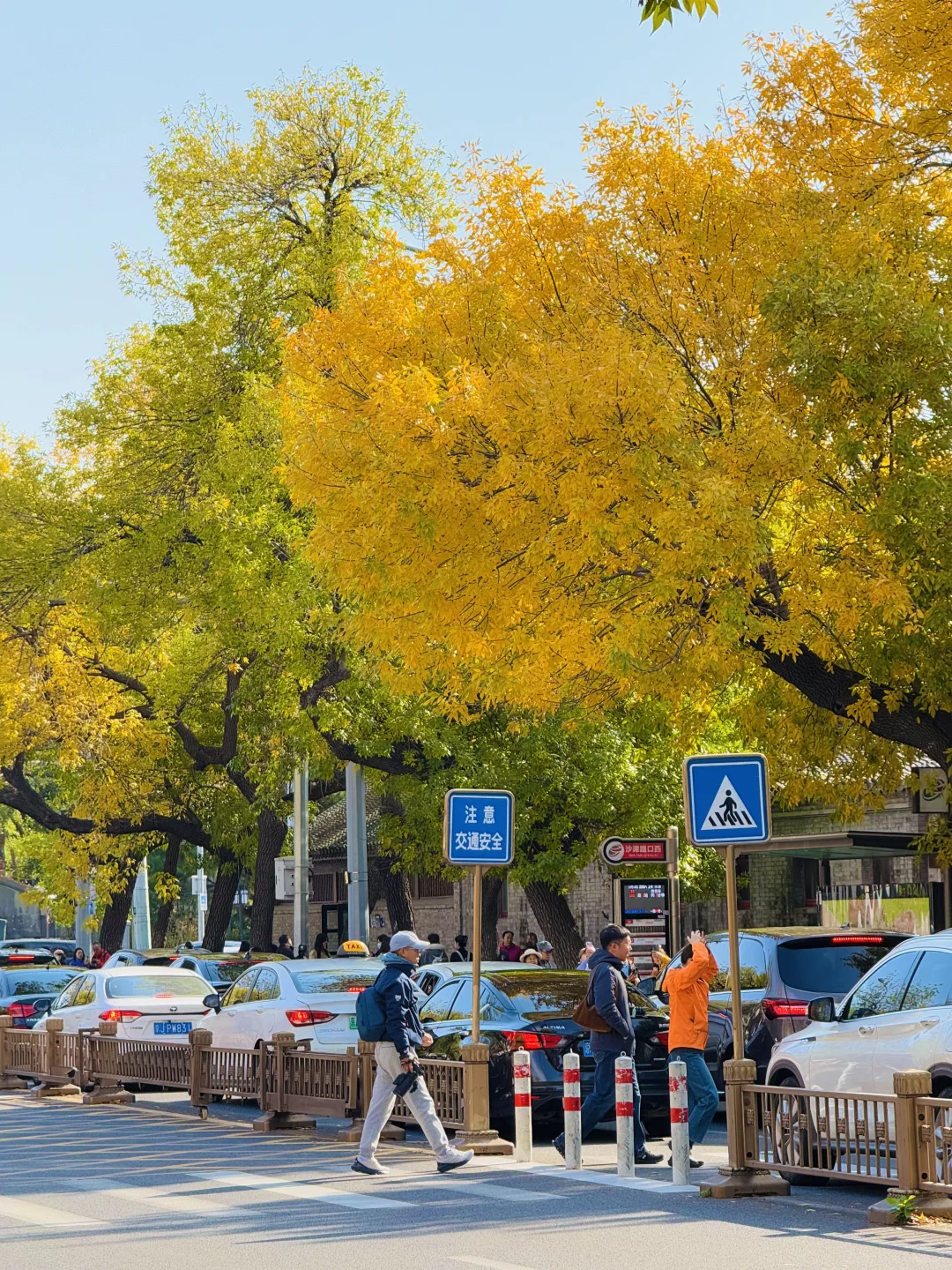 10.19实况🍂北京最新赏秋citywalk路线‼️
