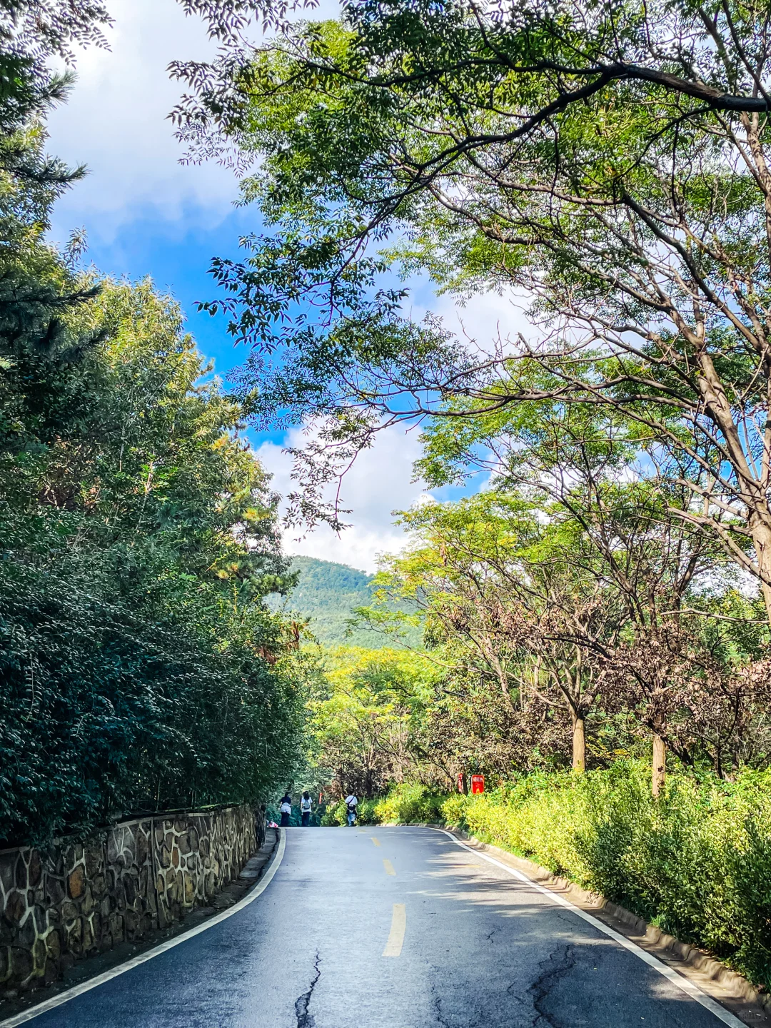 烟台周末娱乐打卡（14）：山海步道徒步