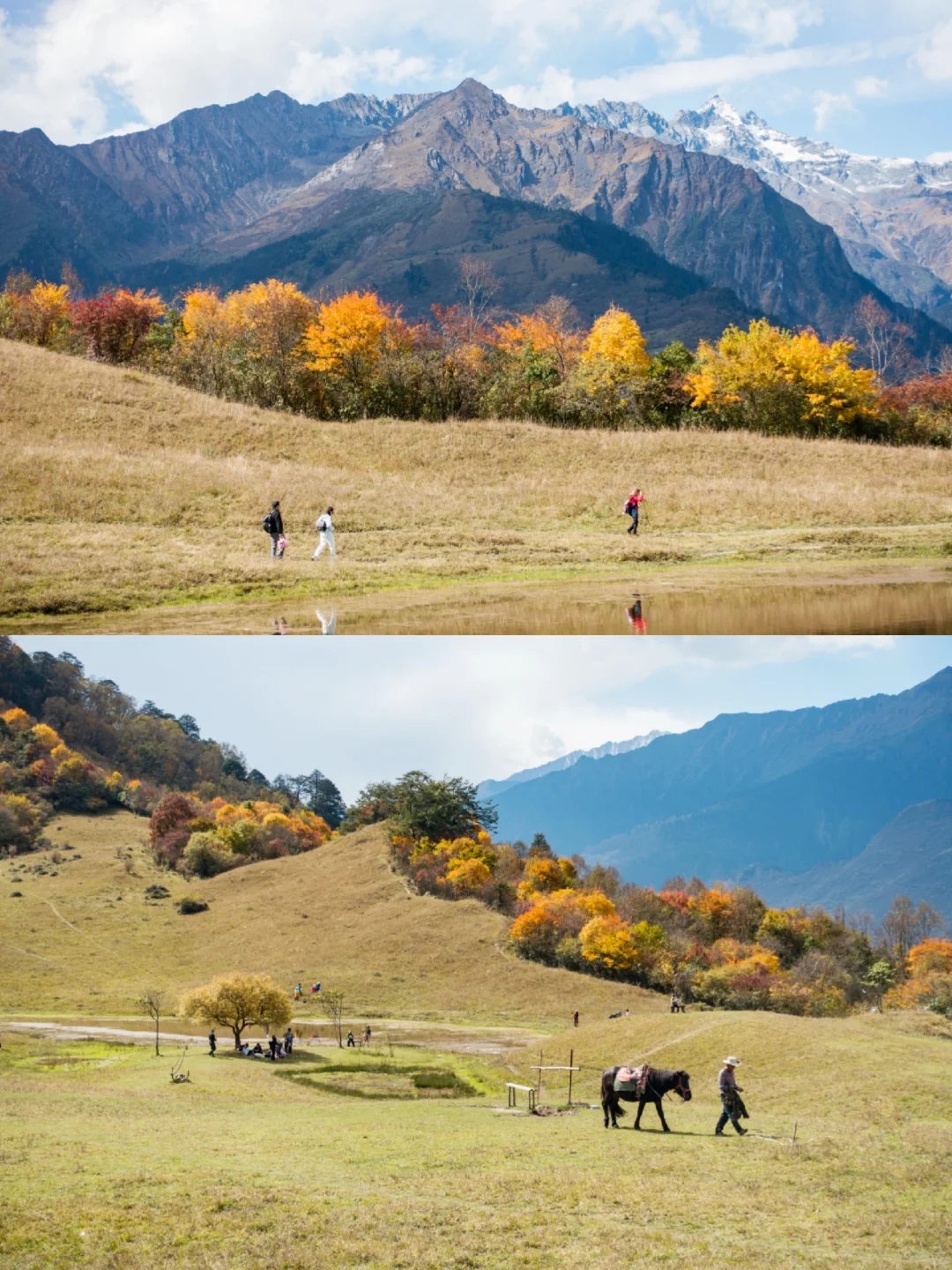 成都周边徒步|⏰本周户外活动合集