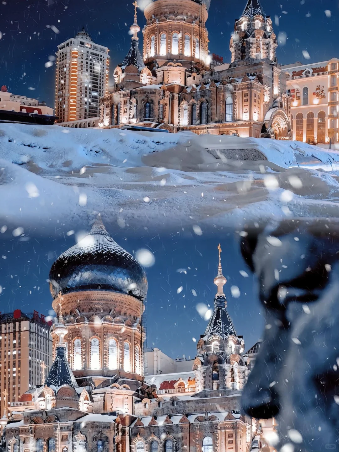 问疯了😭哈尔滨旅游当地团💥1580+搞定