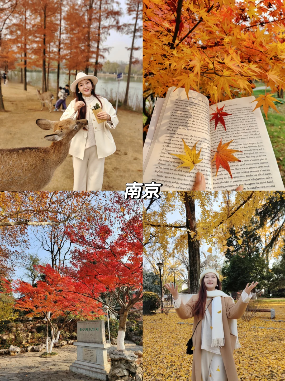 🍁推荐国内10个绝美赏秋旅行地 🍂