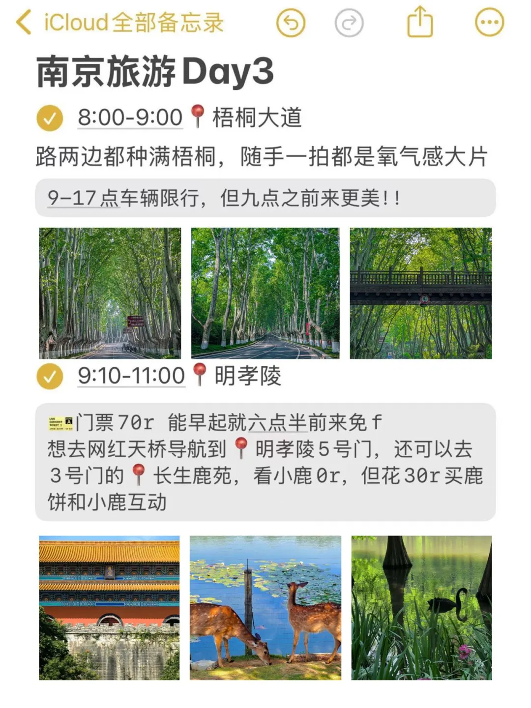 📍9.27南京已回🥲我的建议是。。。