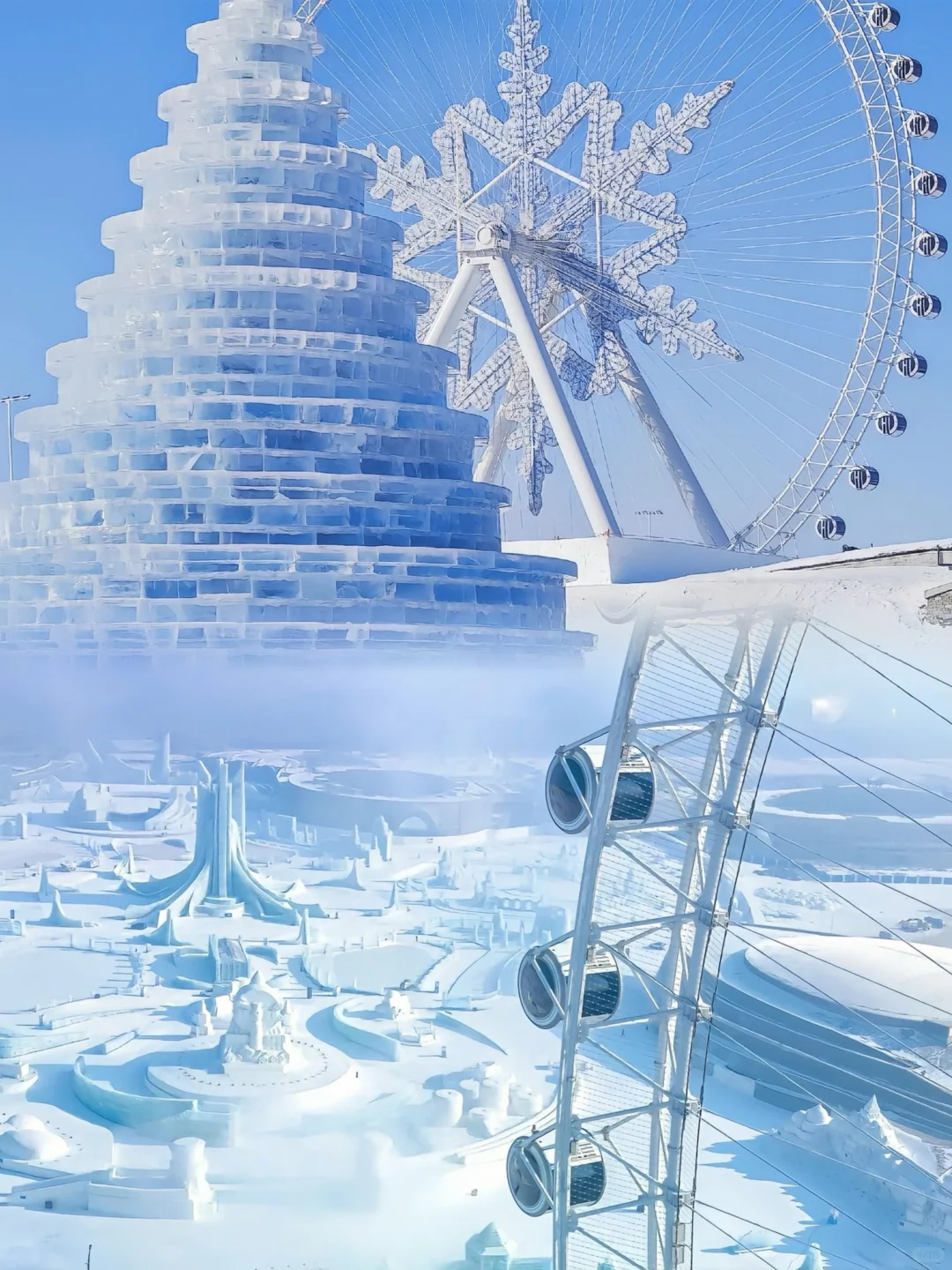 问疯了😭哈尔滨旅游当地团💥1580+搞定