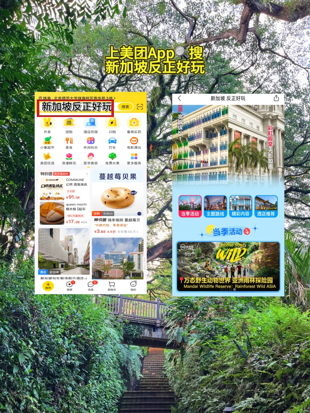 女大爽玩新加坡3日保姆级攻略‼️懒人福音