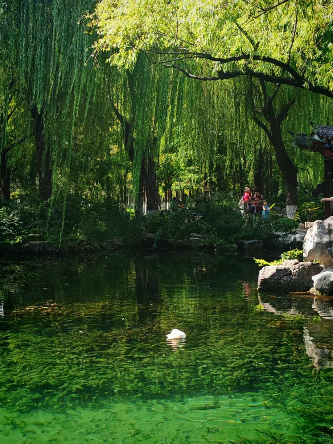 去之前不期待但后劲很大的城市｜看泉一日游