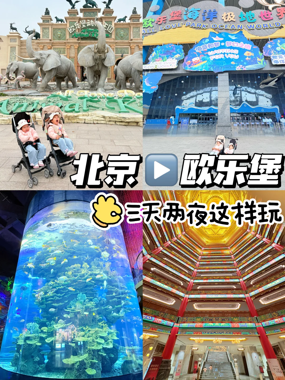 欧乐堡已回，北京出发3天2晚2岁+就这么玩