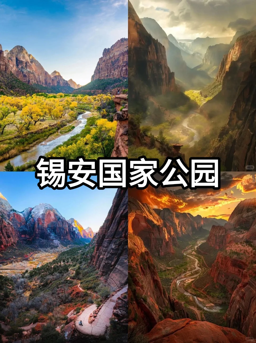 🌟 美西必打卡10大景点｜自然+城市全攻略