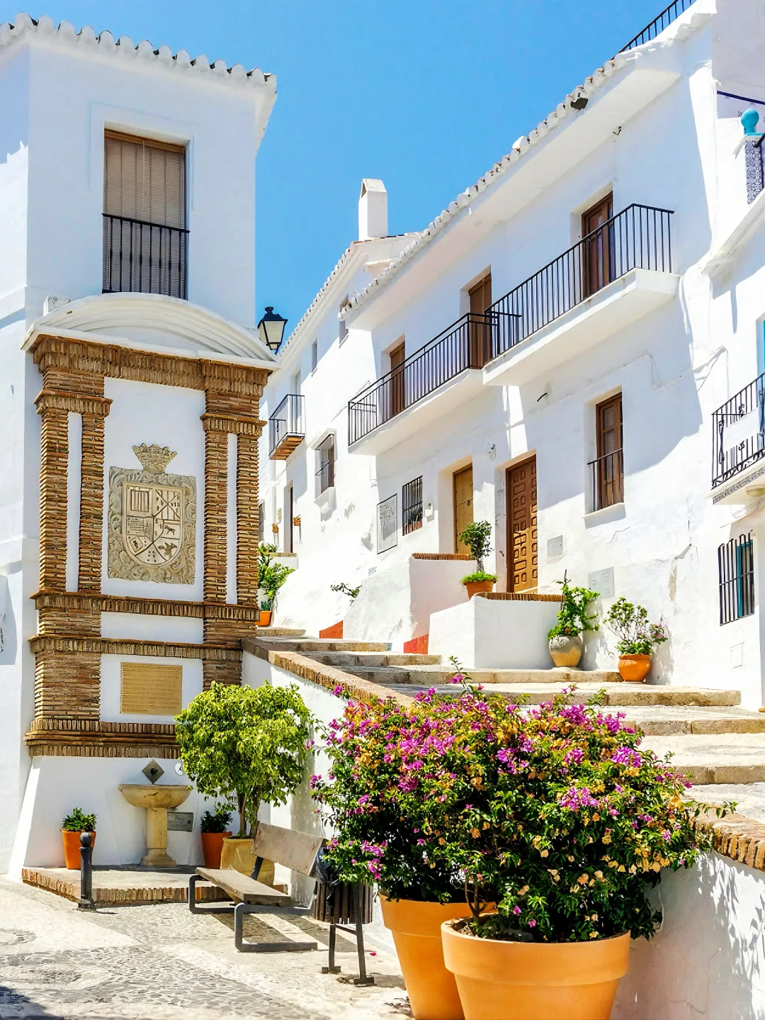 🍊这个秋冬去马拉加过橘子味的夏天！