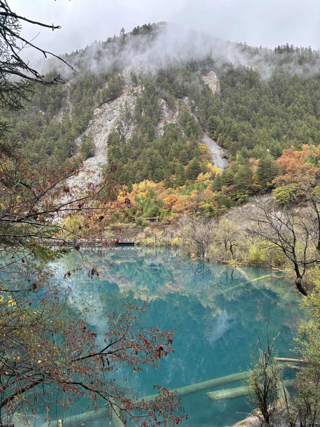 三天两夜九寨沟+黄龙旅游攻略 彩林季🍂