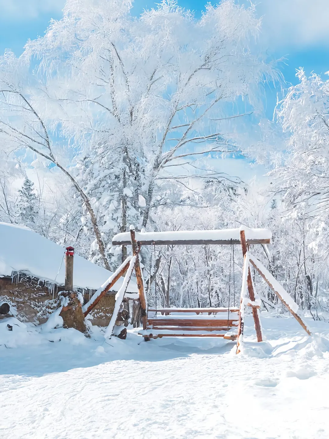 🌟哈尔滨雪乡旅游攻略❄️三天两晚景点路线